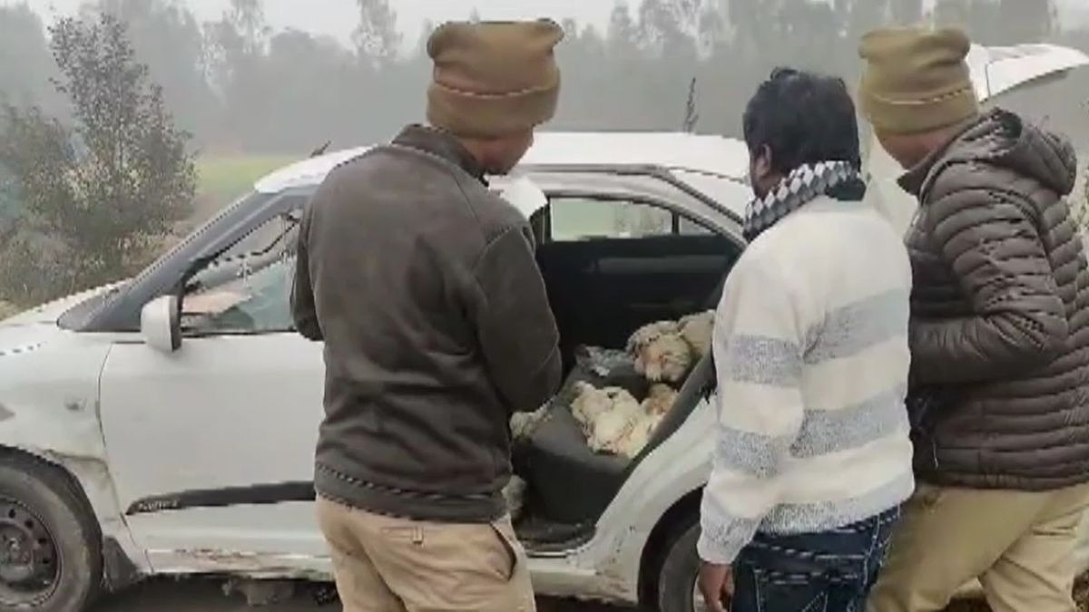 चोरी कर कार में भर ली थीं मुर्गियां. (Photo: Screengrab)