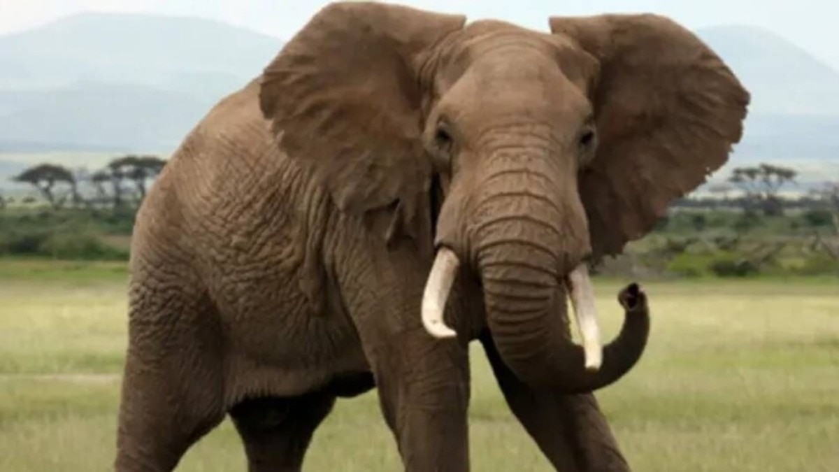 दो लोग गंभीर रूप से घायल.(Photo: Representational)