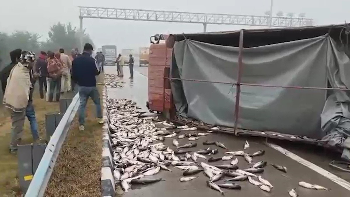हाईवे पर मछलियां लूटते लोग.  (Photo: Screengrab)