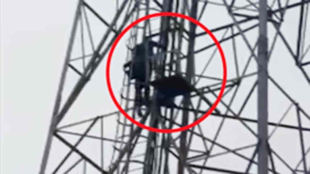 Youth climbs mobile tower