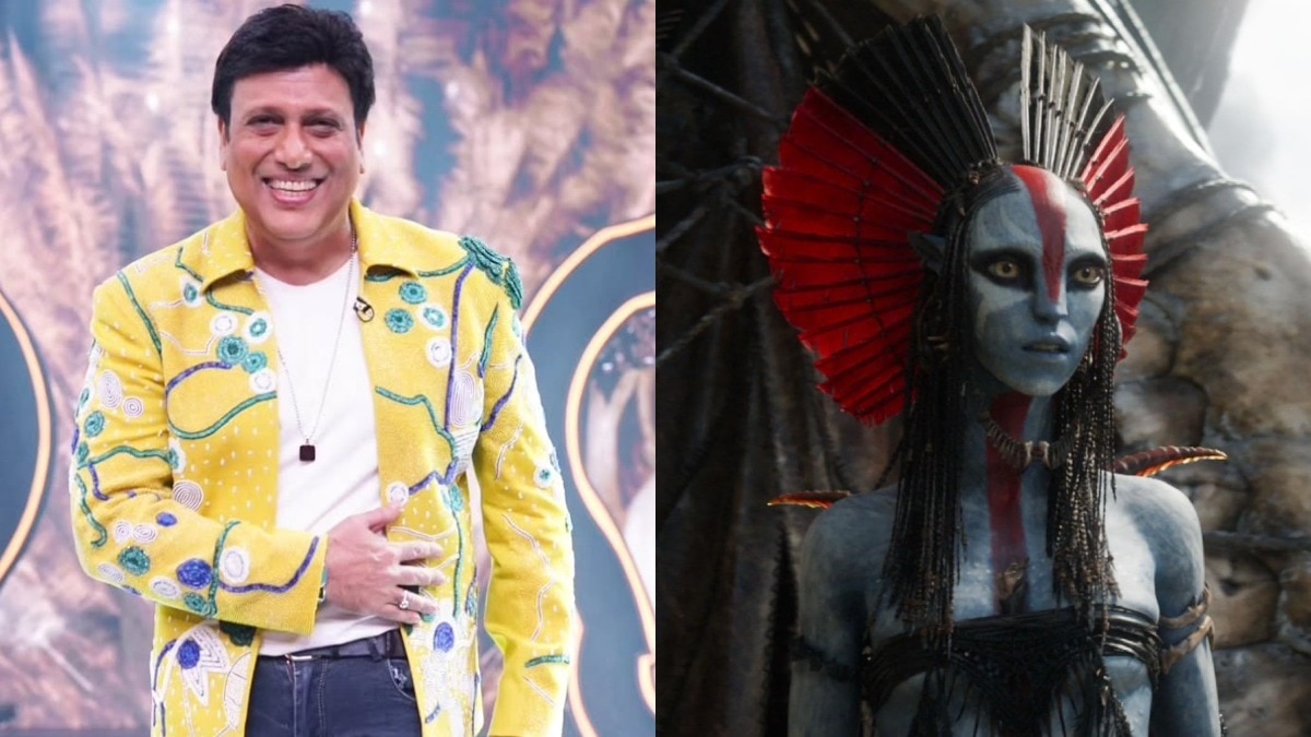 'अवतार 3' की रिलीज के बाद वायरल गोविंदा (Photo: Instagram @govindaherono1/IMDb)