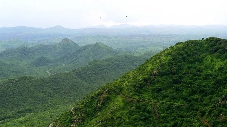 Aravalli hills