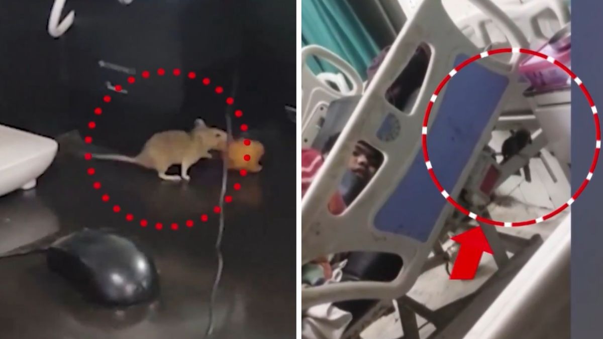 satna hospital viral video impact