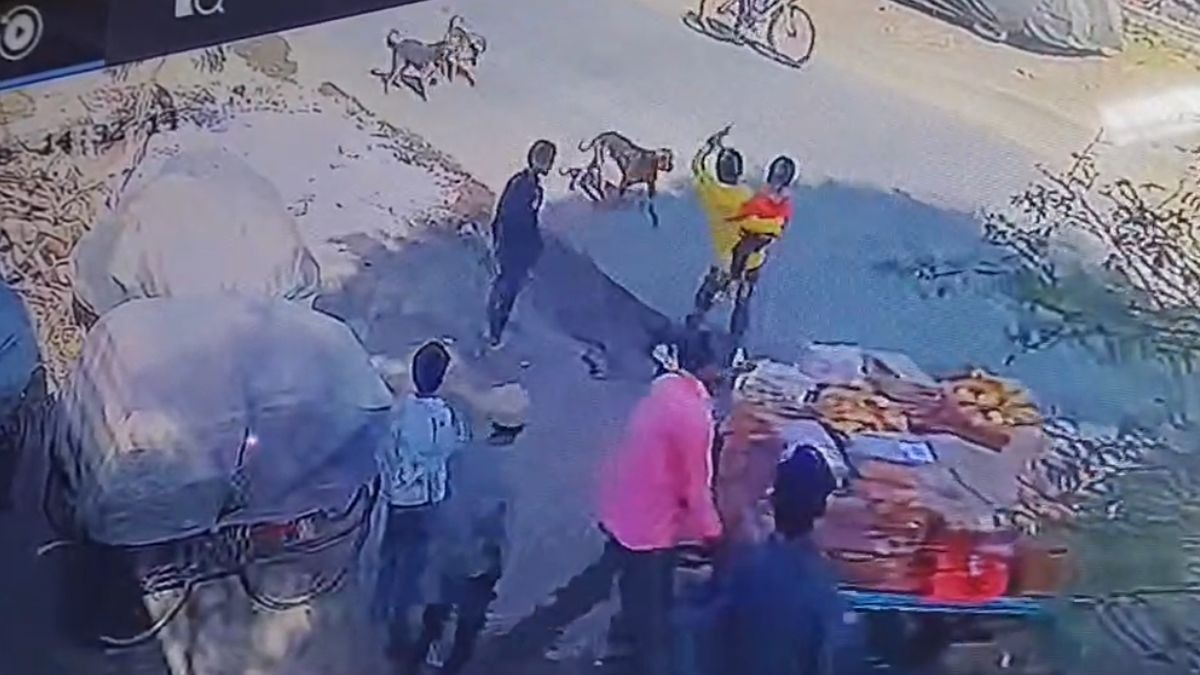 सीसीटीवी में कैद हुई कुत्तों के हमले की घटना. (Photo: Screengrab)