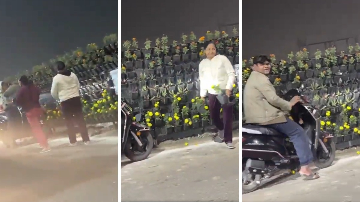 Lunknow Flower Pot Theft