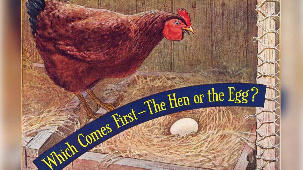 Chicken first or egg