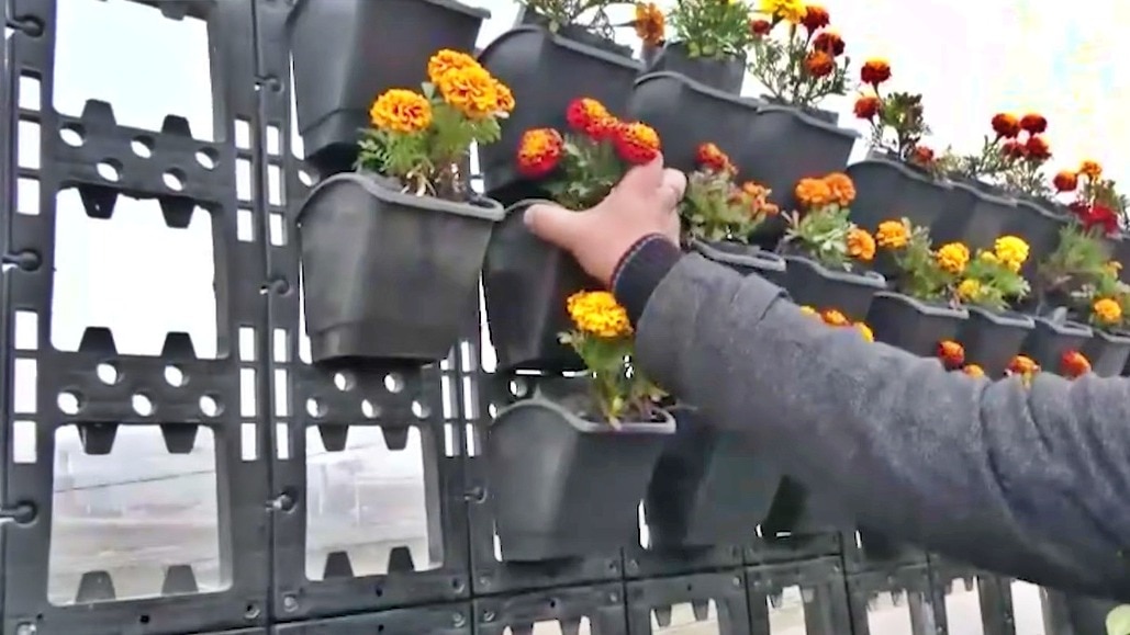 Lucknow Authorities preparing to take action in flowerpot theft (Photo - Screengrab)