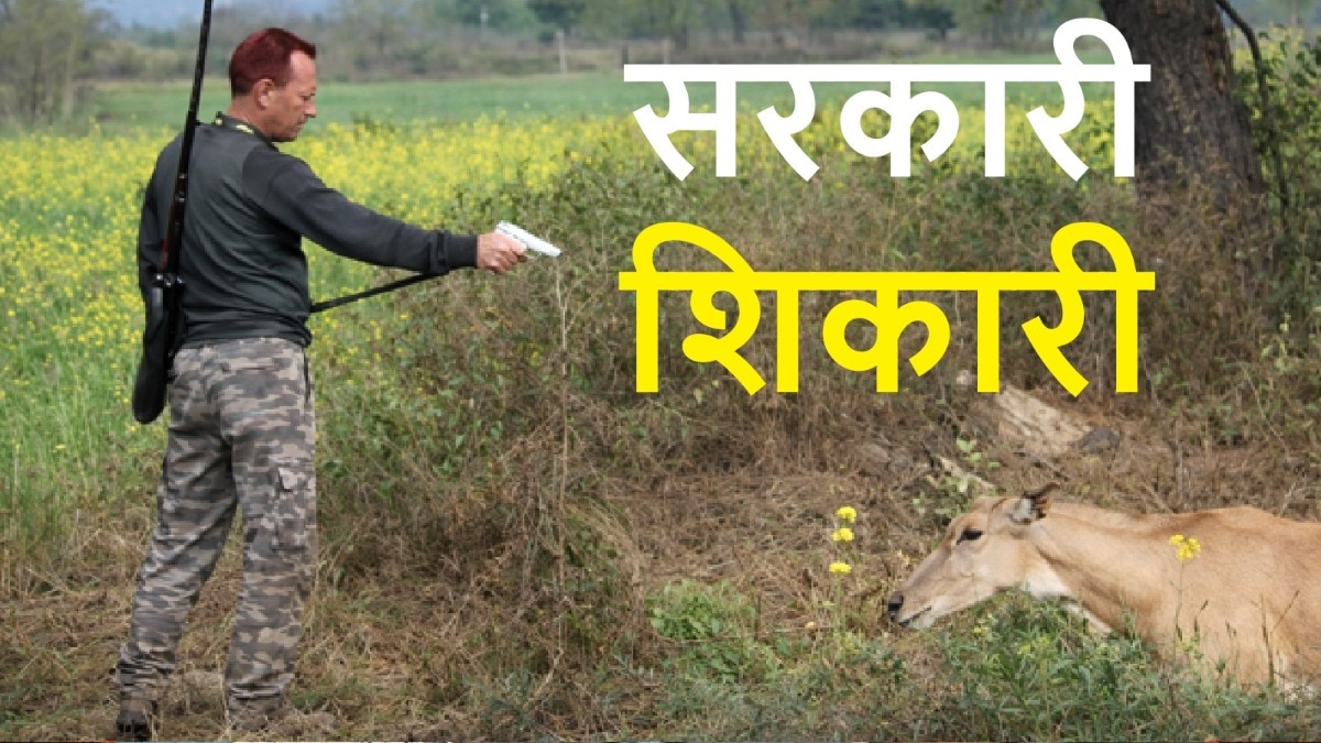 Nilgai Shoot at Sight Order