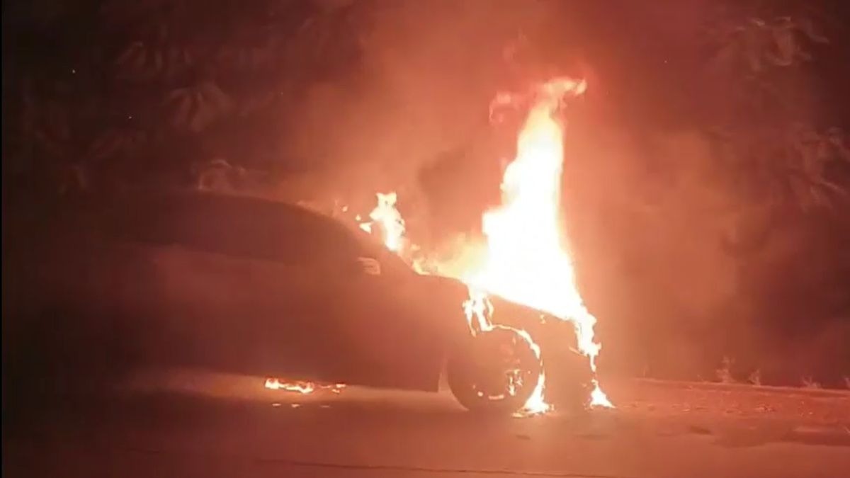 मर्सिडीज कार में लगी आग. (Photo: Screengrab)