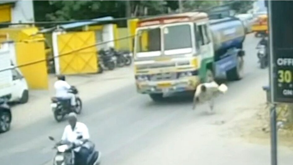 ठोकर खाकर गिरी महिला, पीछे से आए टैंकर ने बेरहमी से कुचला ठोकर खाकर गिरी महिला, पीछे से आए टैंकर ने बेरहमी से कुचला