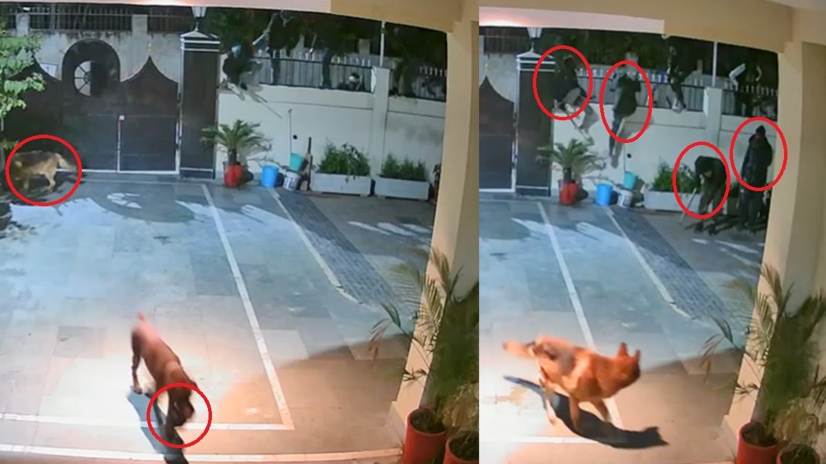 Bhopal Suraj Nagar Dacoity News