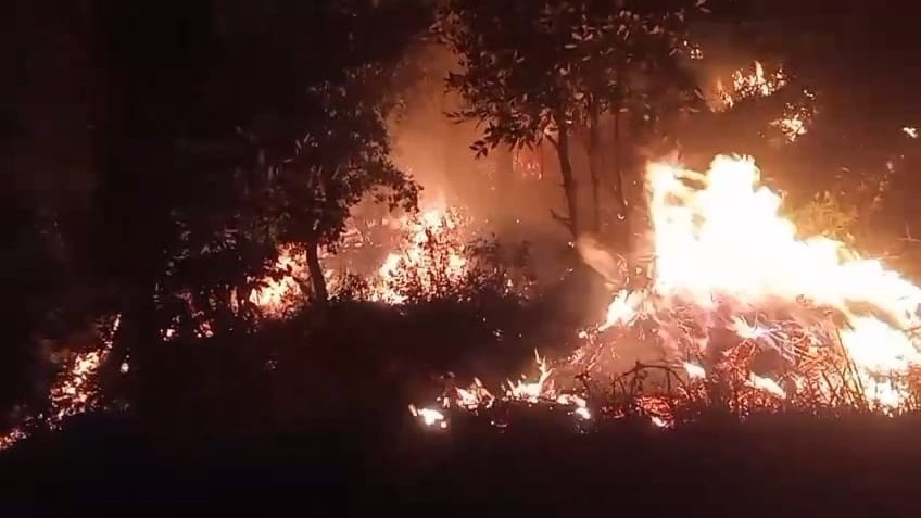 nanital forest fire