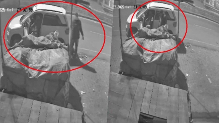 Muzaffarnagar man in car stole vegetables (Photo - Screengrab)