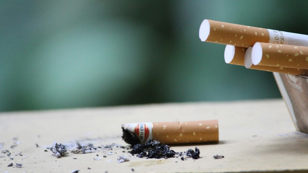 Meghalaya targets tobacco crisis with school-led awareness drive