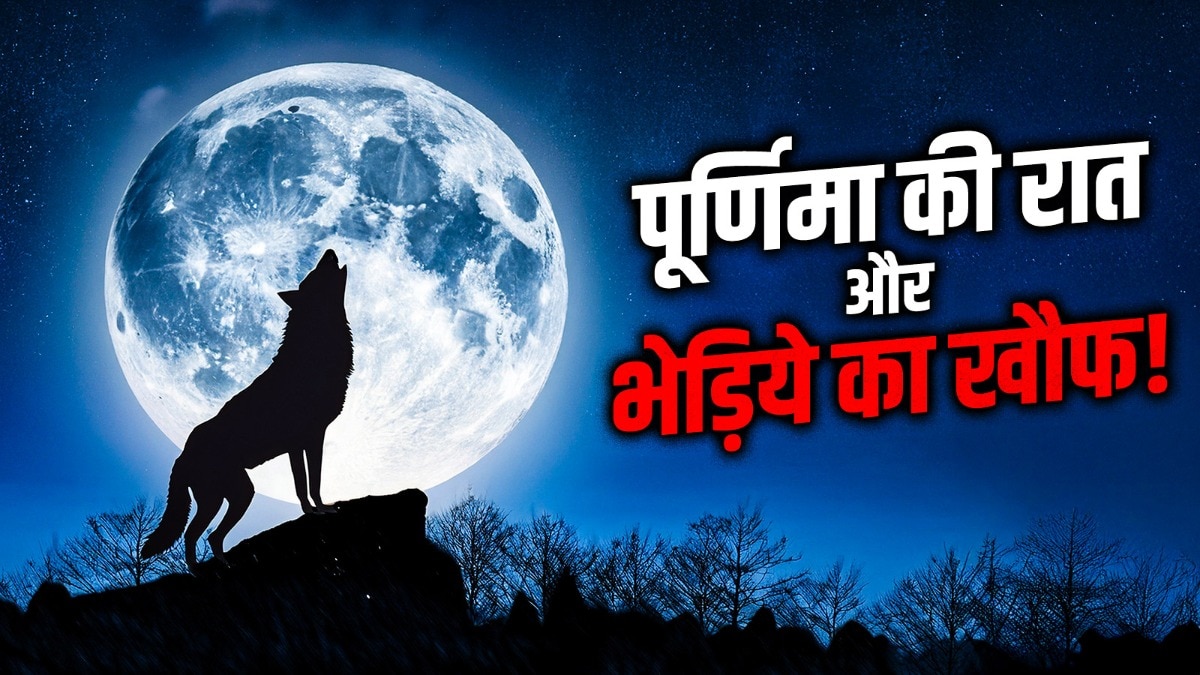 जनवरी की पूर्णिमा की रात वुल्फ मून कहलाती है. माना जाता है कि पूरे खिले चांद को देखकर भेड़िये विचलित हो जाते हैं
