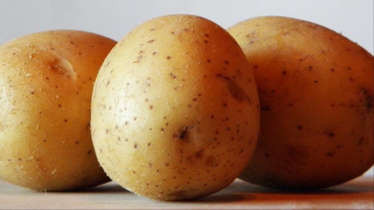 आलू सच में अनहेल्दी है या सिर्फ बदनाम? (Photo- pixabay)