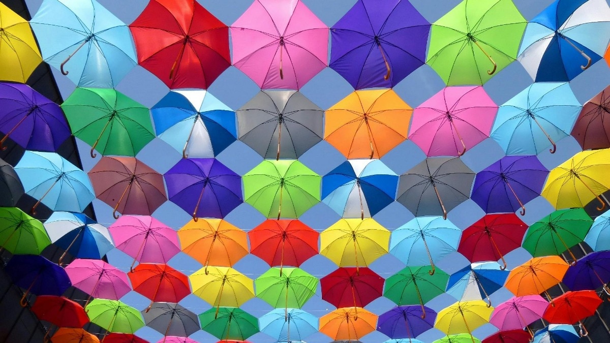  यह रंग समुद्र में पाए जाने वाले छोटे-छोटे घोंघों से निकाला जाता था. ( Photo: Pexels)