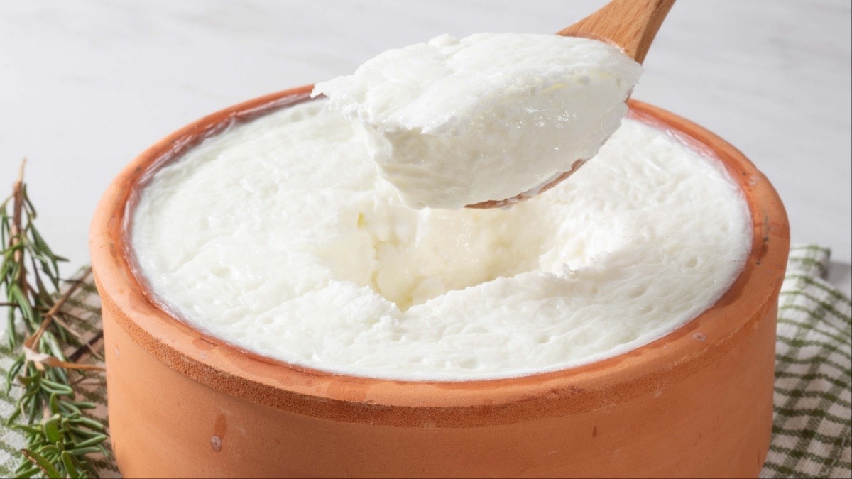 Curd benefits