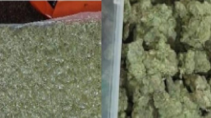 Mumbai drug syndicate