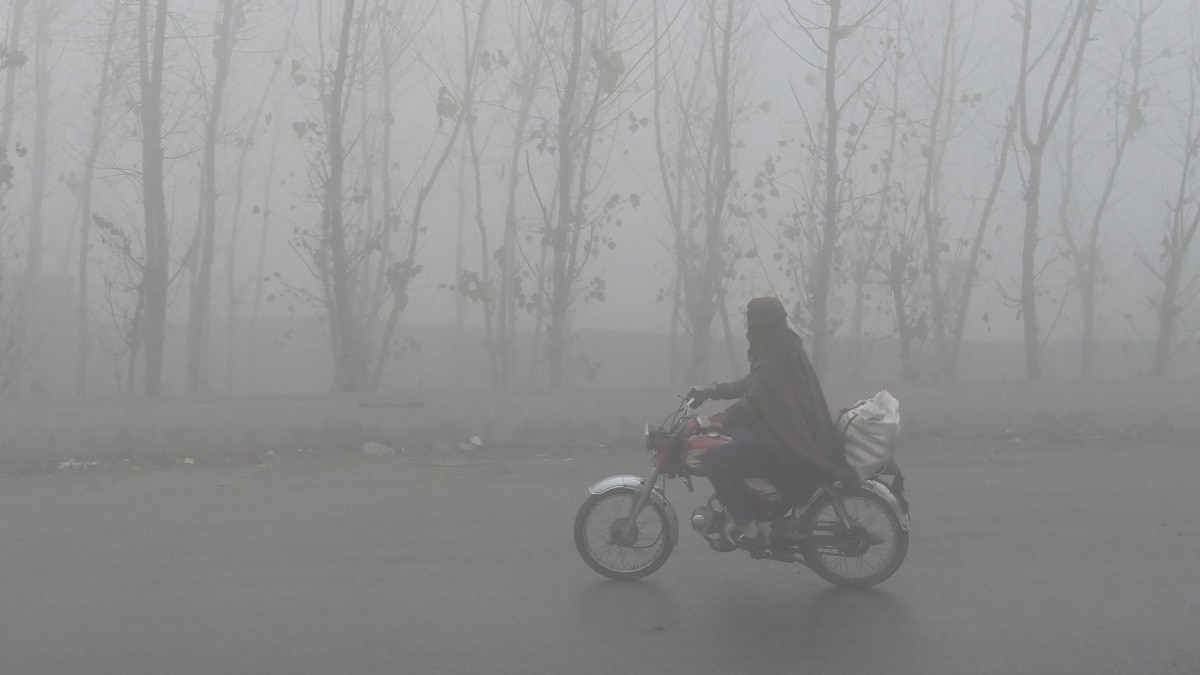 Cold Wave in Uttar Pradesh and Bihar