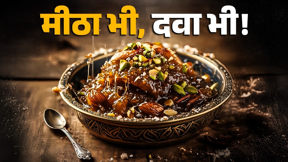 आंवले का हलवा खाने के शरीर मजबूत बनता है. (Photo: ITG)