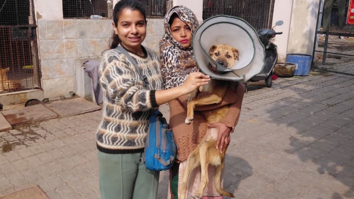 चार घंटे में महिला को वापस मिल गया पेट डॉग मोंटी. (Photo: ITG)