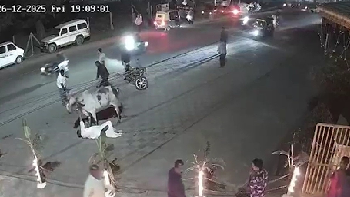 आवारा सांड का आतंक, मंदिर जा रही महिला को रौंदा (Photo: itg)