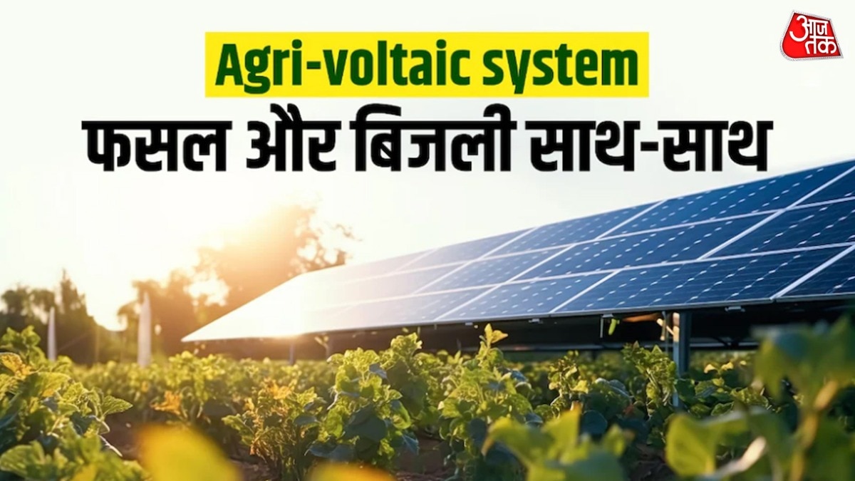 Agri-Voltaic System