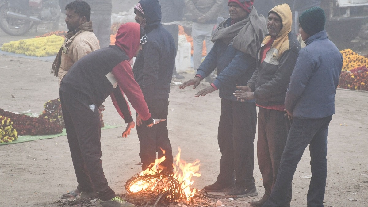 Delhi NCR Weather Forecast