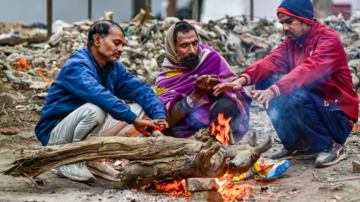 कड़ाके की ठंड और घने कोहरे ने उत्तर भारत को जकड़ा (Photo: PTI)