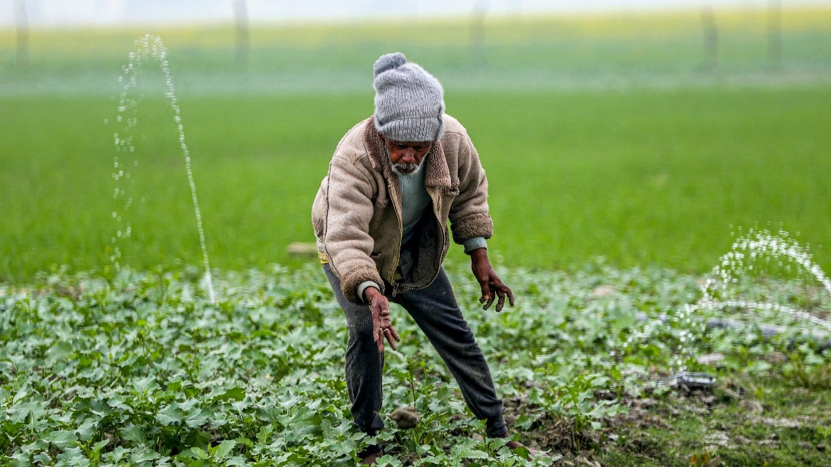 Rajasthan Winter Cold