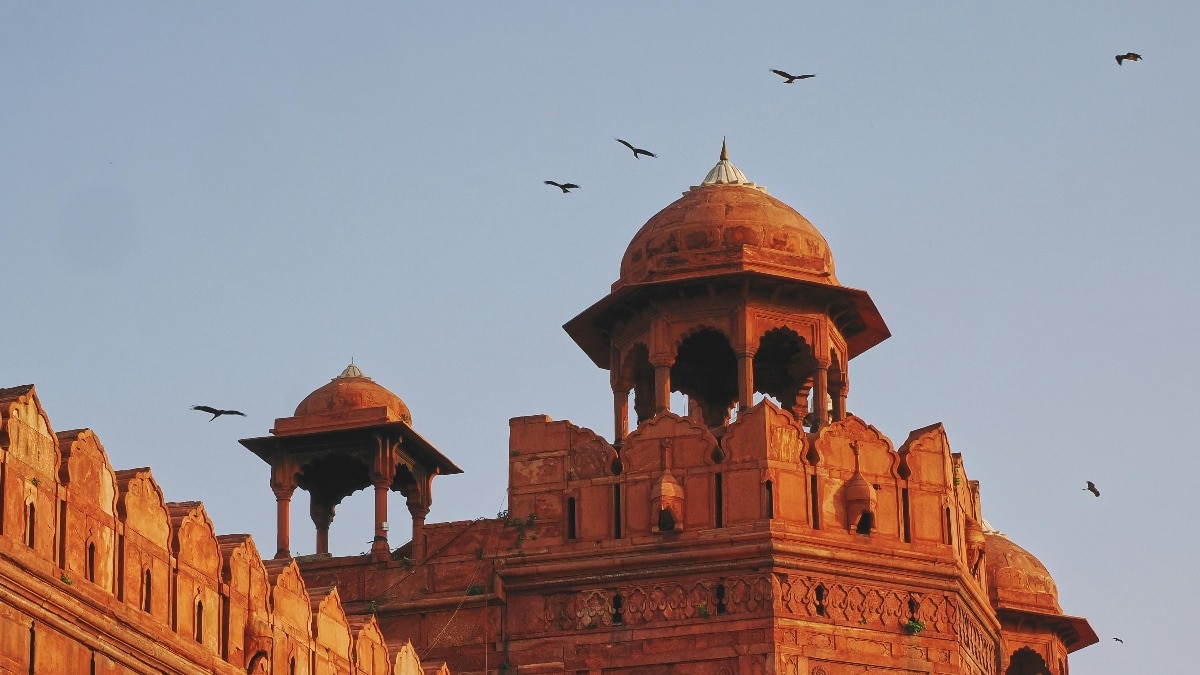 Delhi Republic Day air show safety black kites