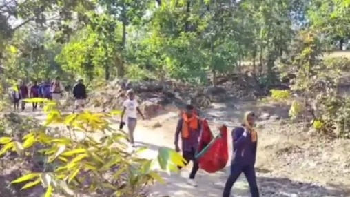  गढ़वा में हाथियों का कहर.(Photo: Screengrab)