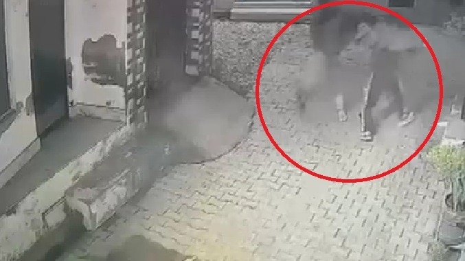 सहारनपुर में डॉक्टर पर हमला कर लूटी चेन. (Photo: Screengrab)