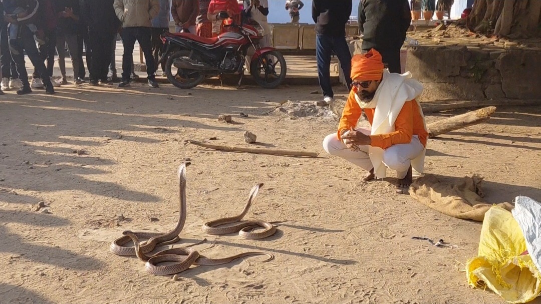 सांप ने युवक को डंसा (Photo: Screengrab)