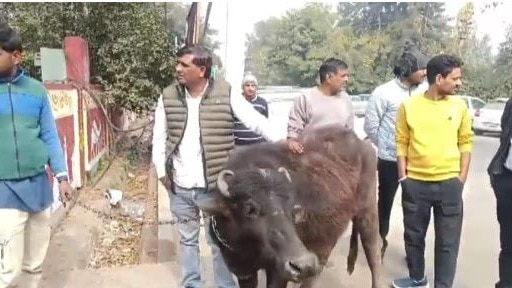 भैंस लेकर मीटिंग में पहुंचे नेता जी (Photo: Screengrab)