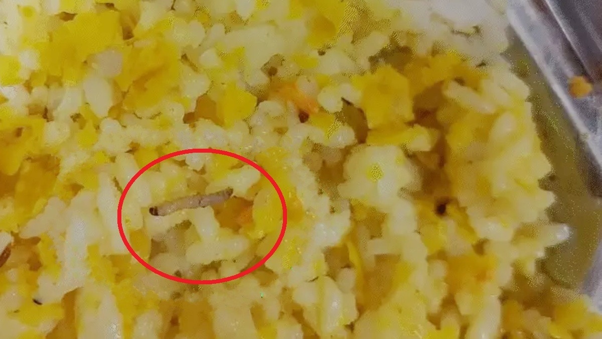 छात्राओं को मिल रहा इल्लियों वाला खाना.(Photo:Screengrab)