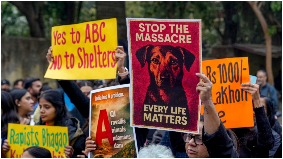  Animal rights activists and dog lovers hold placards during a protest against Supreme Court order on stray dog relocation at Jantar Mantar, in New Delhi,