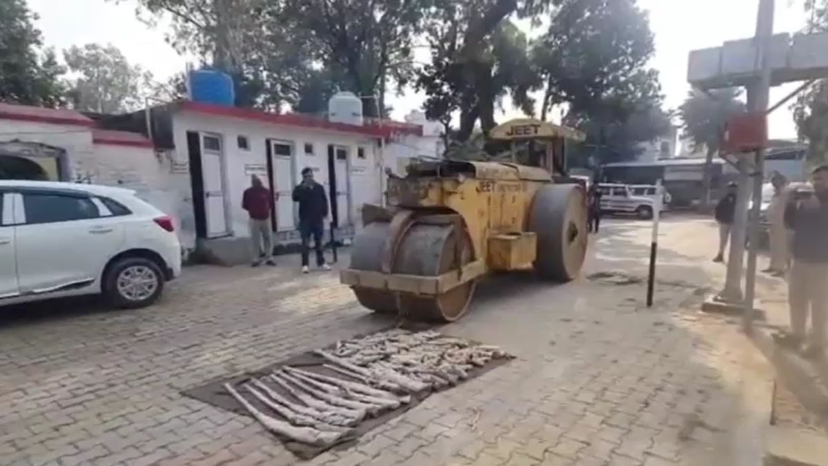 रोलर से नष्ट किए गए अवैध हथियार. (Photo: Screengrab)