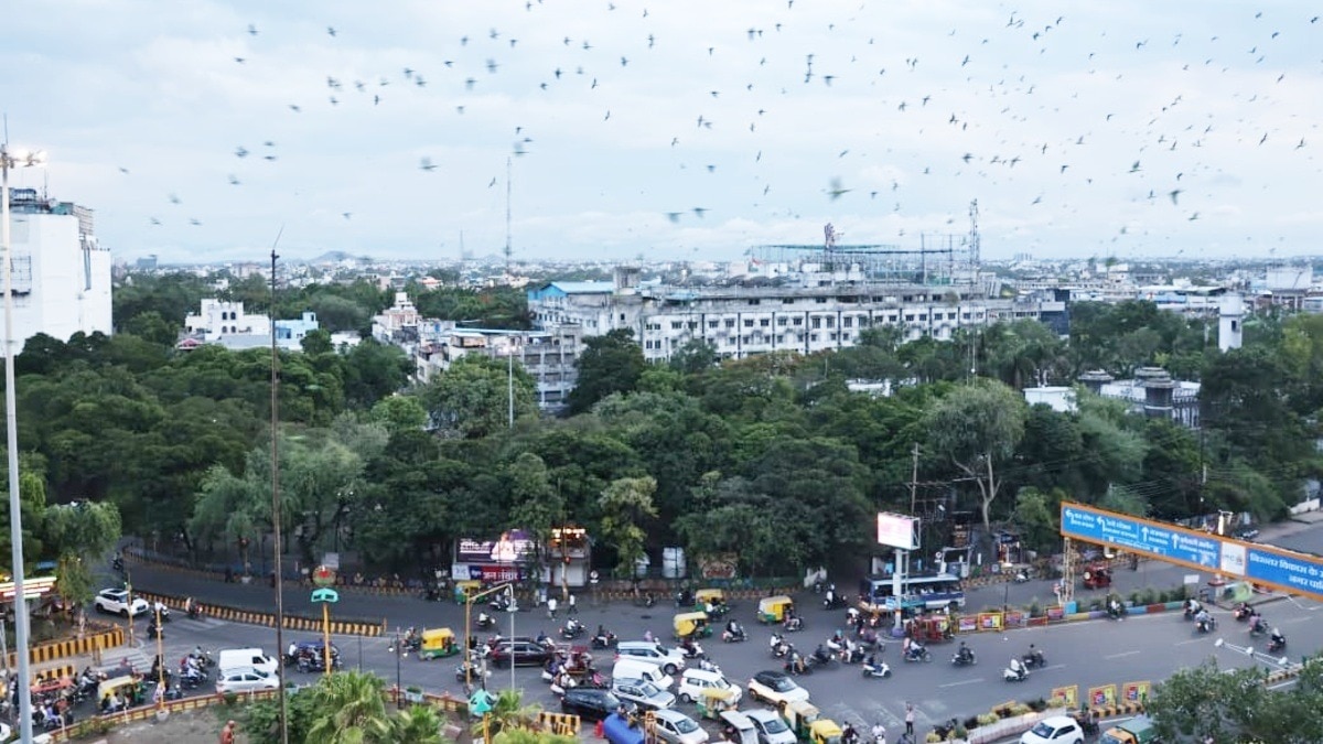 Rani Sarai Indore Metro Tree Cutting