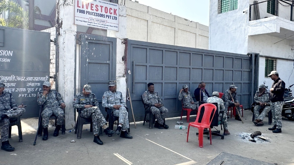 भोपाल के हाईटेक स्लॉटर हाउस में 'बीफ' का कारोबार.(Photo:ITG)