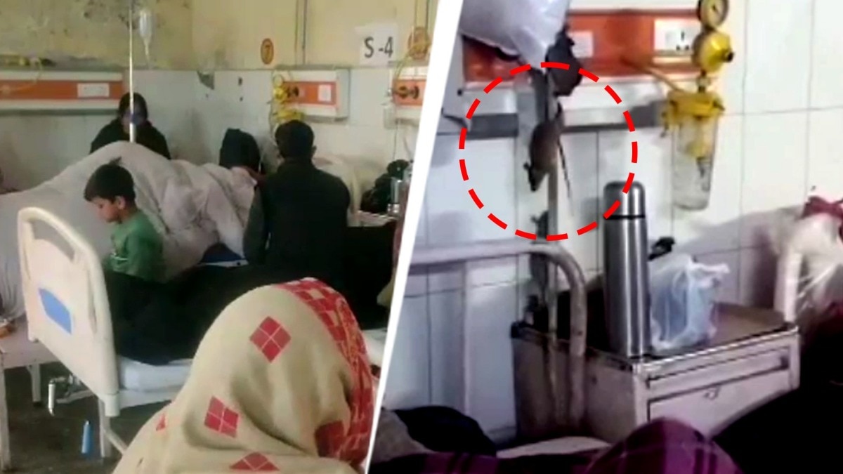Video of rats running around in a medical college goes viral