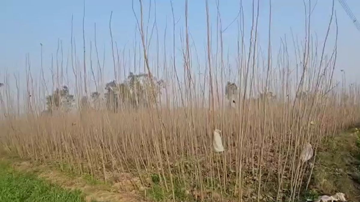 गैंगस्टर की करोड़ों की जमीन की गई कुर्क. (Photo: ITG)