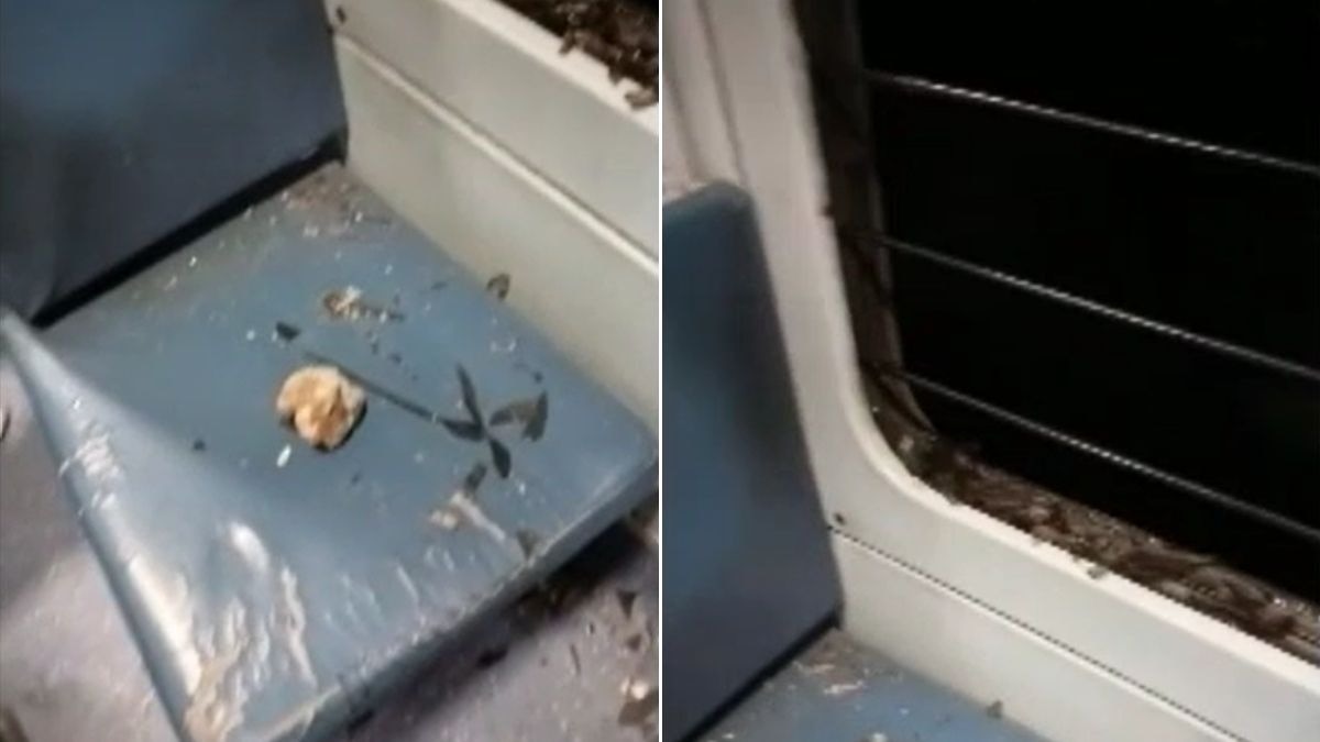 उदयपुर में ट्रेन पर पत्थरबाजी. (Photo: Screengrab)