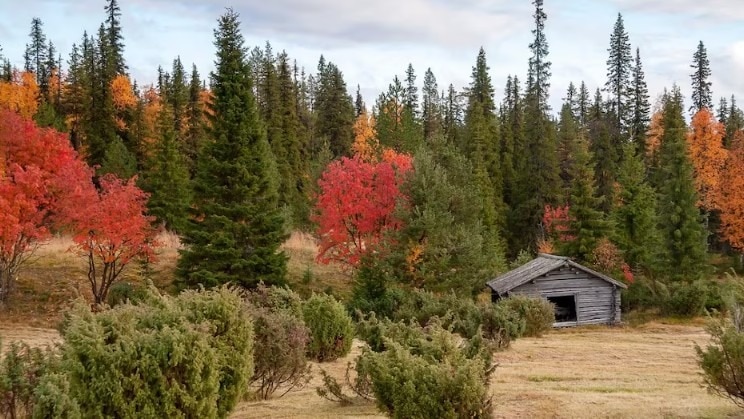 फिनलैंड में है महिलाओं के लिए खास जगह (Photo-ITG)