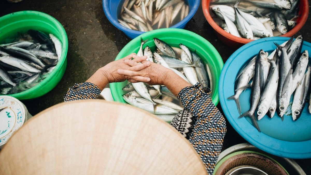 Woman swallows raw fish gallbladder