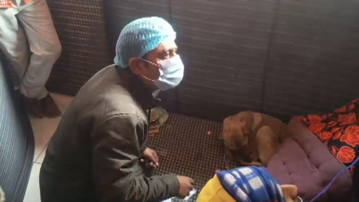 टीम ने शुरू किया बीमार कुत्ते का इलाज. (Photo: Screengrab)