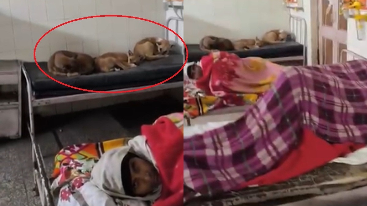 गोंडा जिला अस्पताल का वीडियो वायरल.(Photo: Screengrab)