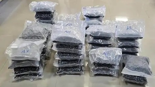 DRI officers discovered 29.88 kg of hydroponic weed while checking the bags of passengers who had just boarded the train in Bengaluru.