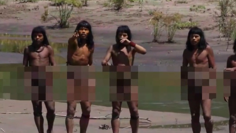 Uncontacted tribes discovered in Amazon